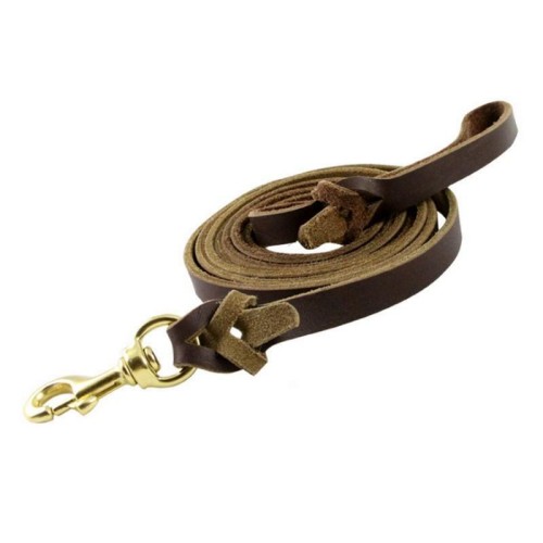 Pet Leash